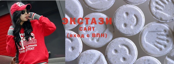 спиды Ельня