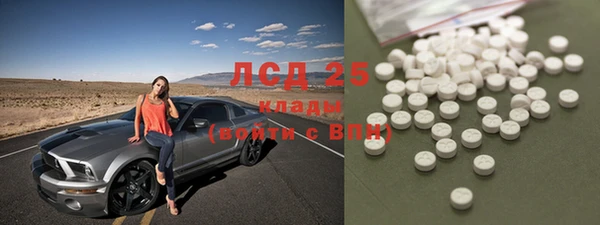 спиды Ельня