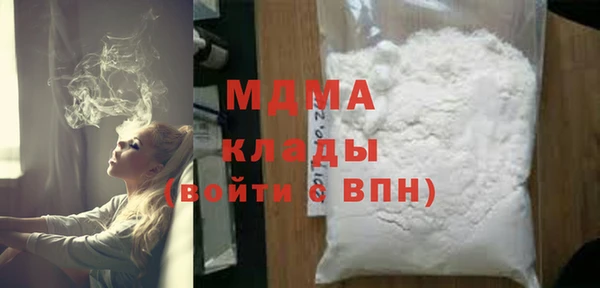 спиды Ельня