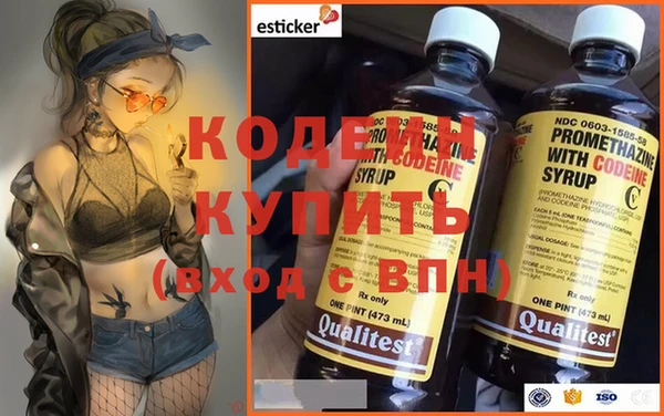 ГАЛЛЮЦИНОГЕННЫЕ ГРИБЫ Елабуга