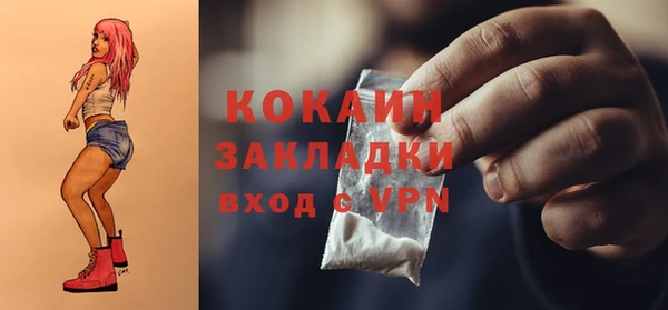 спиды Ельня
