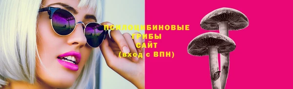 apvp Елизово