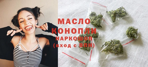 спиды Ельня