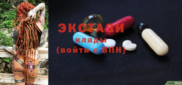 спиды Ельня