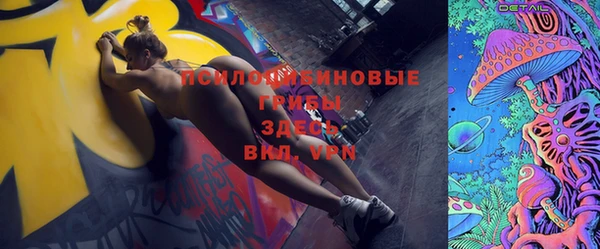 ГАЛЛЮЦИНОГЕННЫЕ ГРИБЫ Елабуга