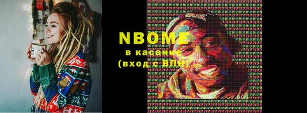 спиды Ельня