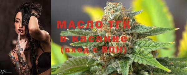 спиды Ельня