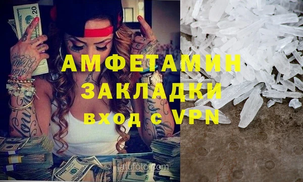 спиды Ельня
