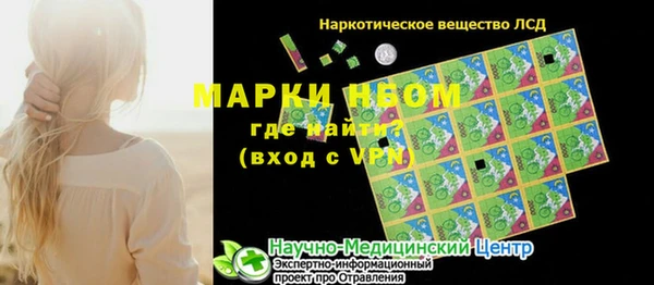 спиды Ельня