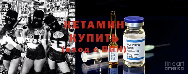 спиды Ельня