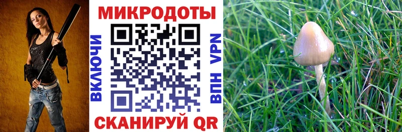 Купить закладки  Курганинск  Галлюциногенные грибы мицелий 